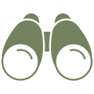 vision